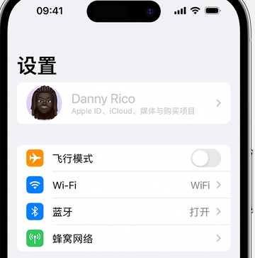 翠峦appleID维修服务iPhone设置中Apple ID显示为灰色无法使用