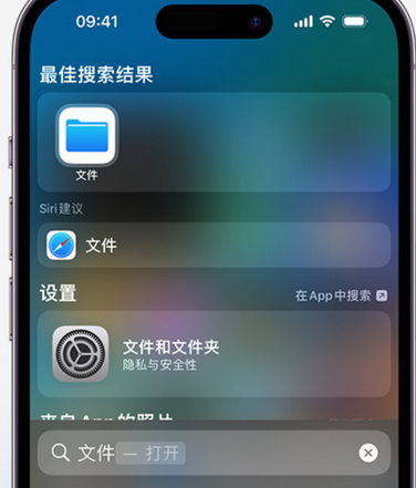 翠峦apple维修中心分享iPhone文件应用中存储和找到下载文件 