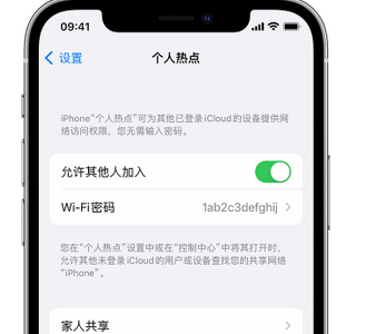 翠峦apple服务站点分享iPhone上个人热点丢失了怎么办 