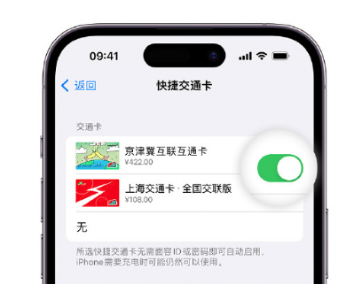 翠峦apple维修点分享iPhone上更换Apple Pay快捷交通卡手绘卡面 