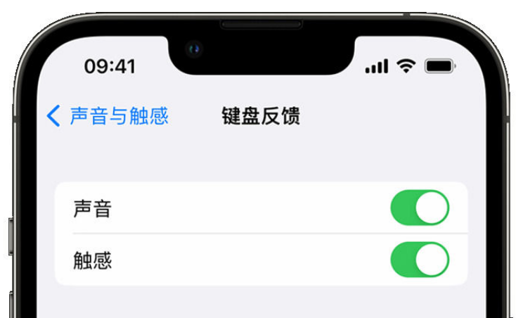 翠峦苹果手机维修分享iPhone 14触感键盘使用方法 