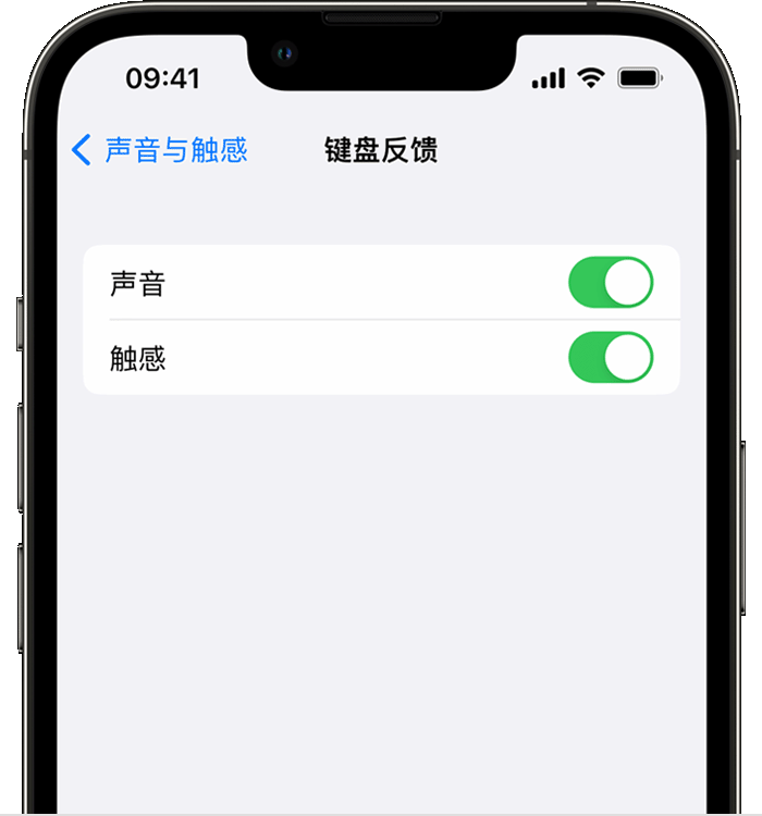 翠峦苹果14维修店分享如何在 iPhone 14 机型中使用触感键盘 