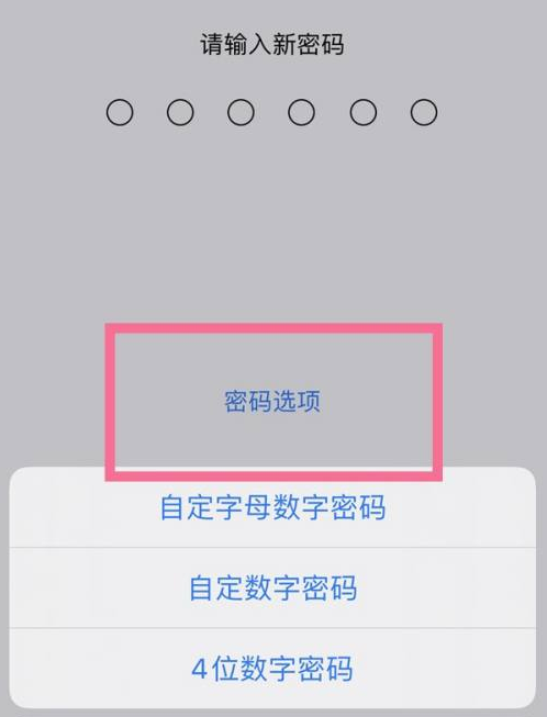 翠峦苹果14维修分享iPhone 14plus设置密码的方法 