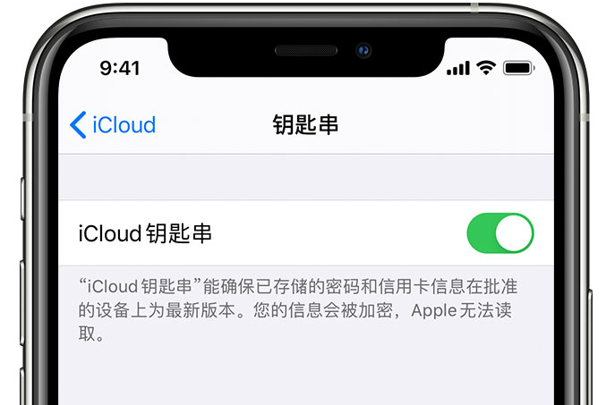 翠峦苹果手机维修分享在 iPhone 上开启 iCloud 钥匙串之后会储存哪些信息 