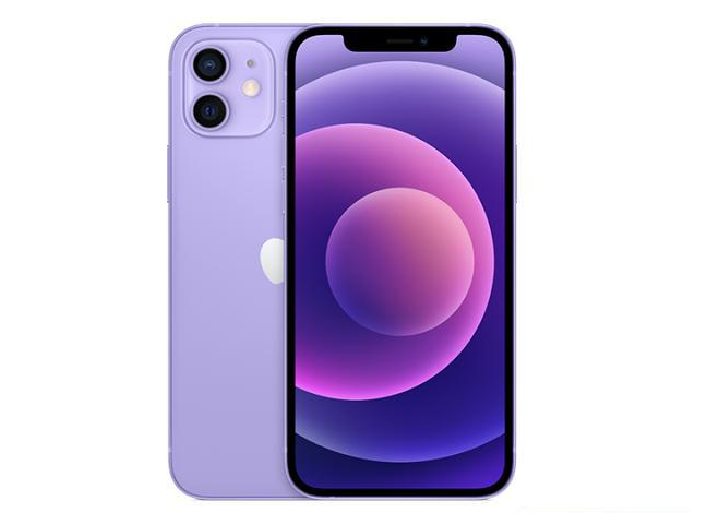 翠峦苹果手机维修分享现阶段要不要入手紫色版iPhone12 