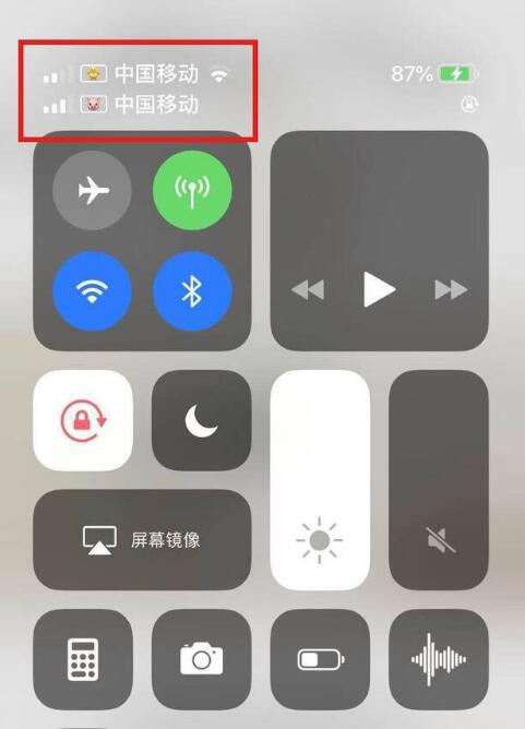 翠峦苹果手机维修分享为 iPhone 12 双卡设置标签 